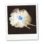 Bonbonnière pour naissance - tétine plexi-bleue