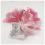 Missel pour communion fille 