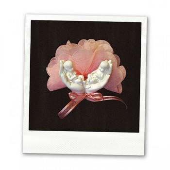 https://www.marjole.com/180-thickbox_atch/bonbonnière-dragées-jumeaux-jumelles.jpg