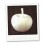Pomme blanche -cadeau 