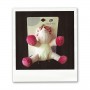 Peluche Lucie Noukie's