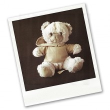 Ourson gris - peluche