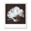 Bonbonniere foot originale pour communion